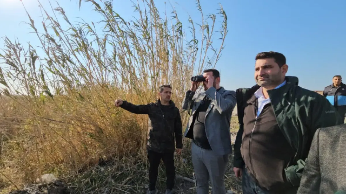 Samandağ Belediyesi Milleyha Sulak Alanını Koruma Çalışmalarına Devam Ediyor.