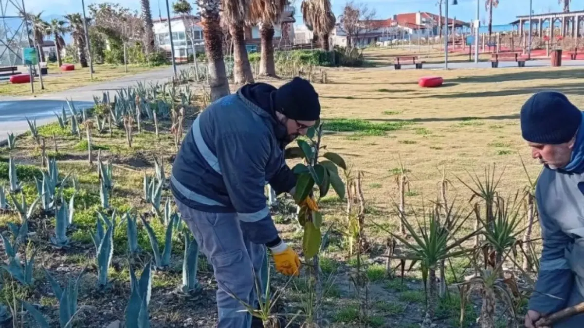 Park ve Bahçeler Müdürlüğü’nden İlçe Genelinde Yoğun Çalışma