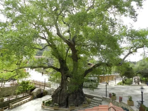 Medya — fotoğraf 169