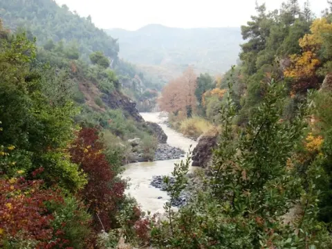 Medya — fotoğraf 88
