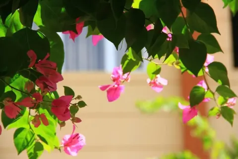 Medya — fotoğraf 36