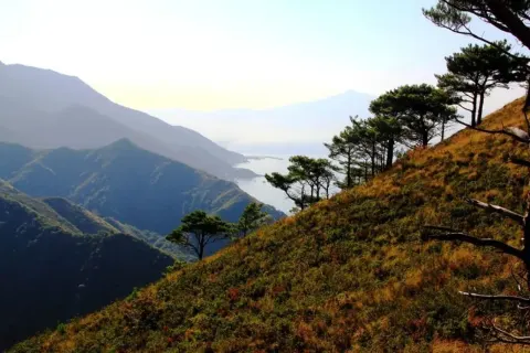 Medya — fotoğraf 40