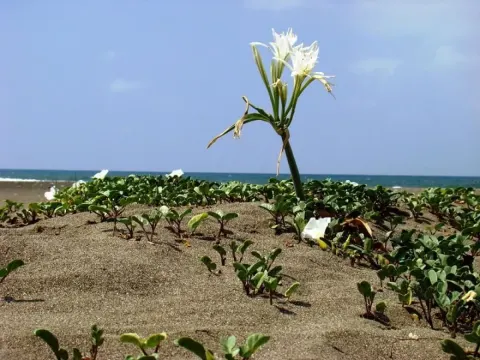 Medya — fotoğraf 100