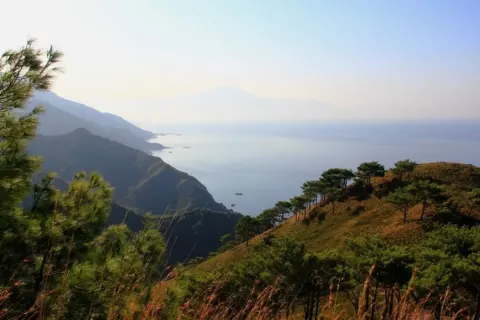 Medya — fotoğraf 42