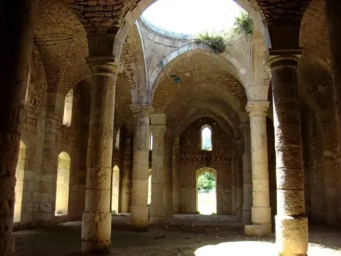 Medya — fotoğraf 56