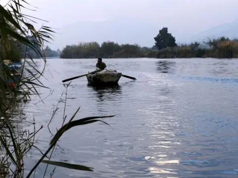Medya — fotoğraf 85