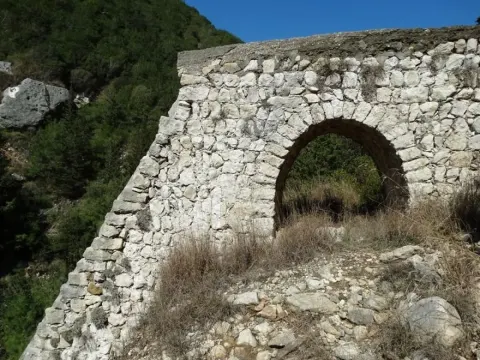 Medya — fotoğraf 106