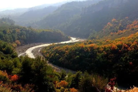 Medya — fotoğraf 29