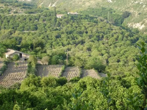 Medya — fotoğraf 97