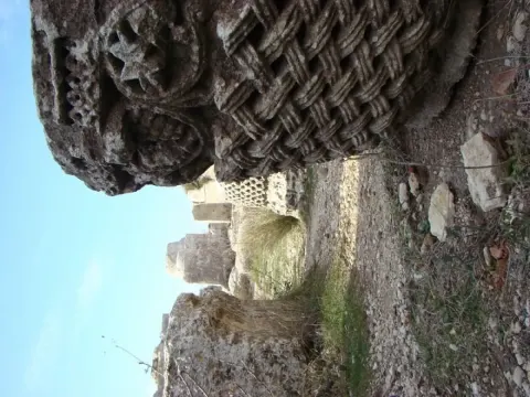 Medya — fotoğraf 123