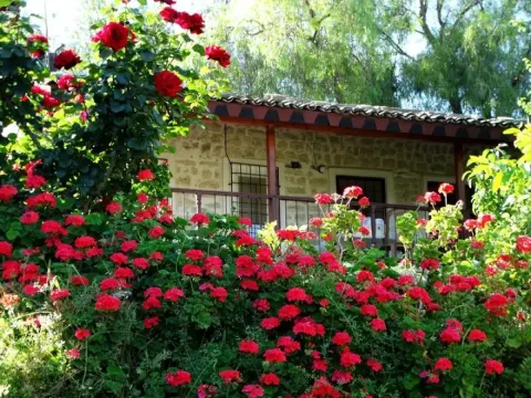 Samandağ fotoğraf galerisi, fotoğraf 2