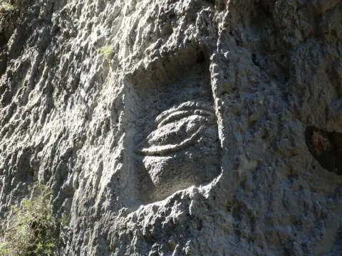 Medya — fotoğraf 110