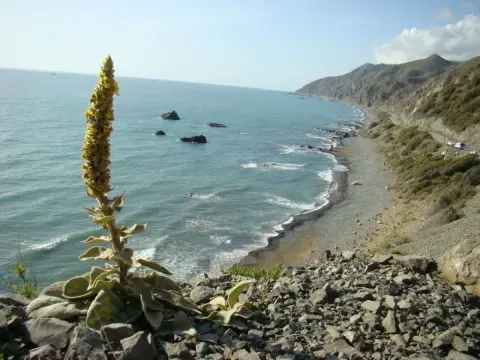 Medya — fotoğraf 93