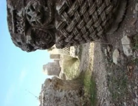 Medya — fotoğraf 119