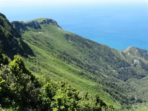 Medya — fotoğraf 14