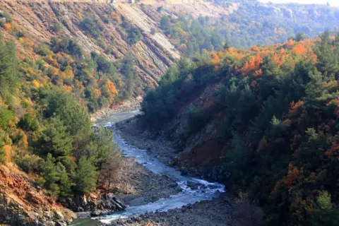 Medya — fotoğraf 27