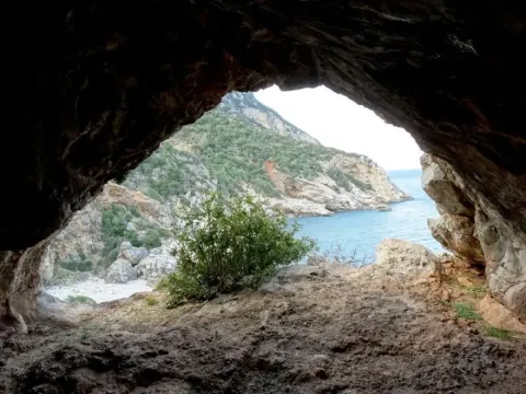 Medya — fotoğraf 109