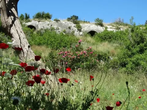 Samandağ fotoğraf galerisi, fotoğraf 3