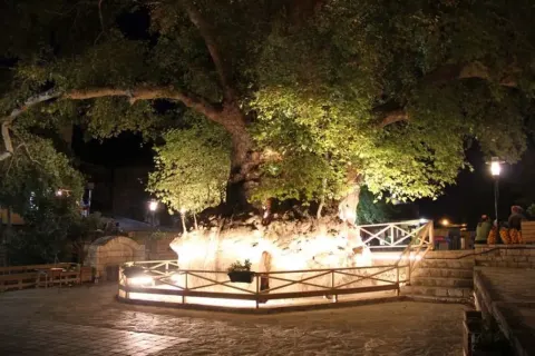 Medya — fotoğraf 172