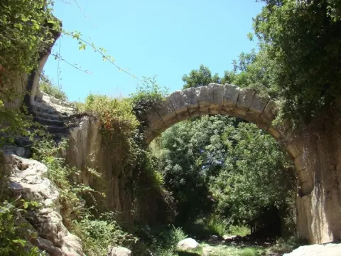 Medya — fotoğraf 133