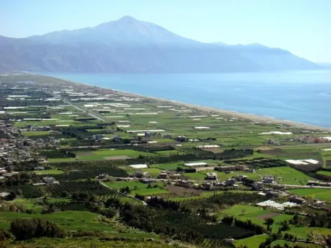 Medya — fotoğraf 81