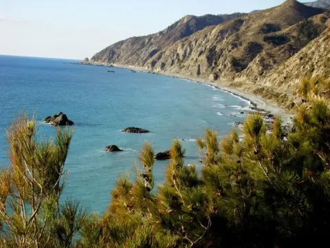 Medya — fotoğraf 94