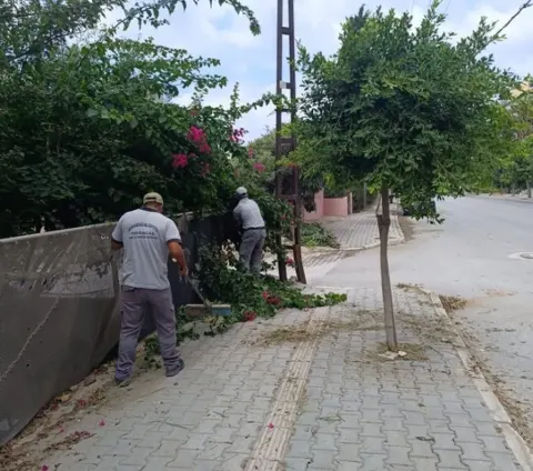 Park ve Yeşil Alanlarımızı Yeniliyor, İlçemizi Güzelleştiriyoruz. — fotoğraf 1