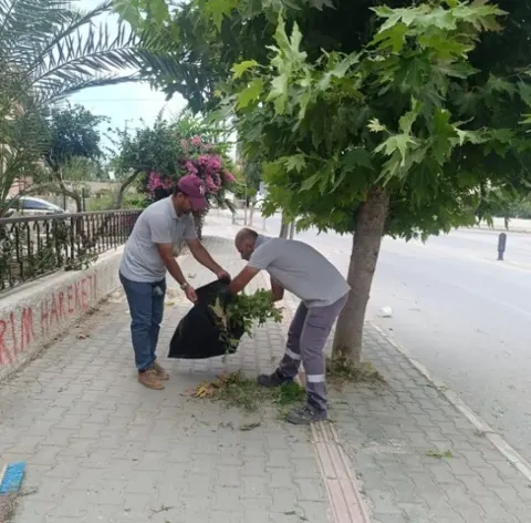 Park ve Yeşil Alanlarımızı Yeniliyor, İlçemizi Güzelleştiriyoruz. — fotoğraf 2