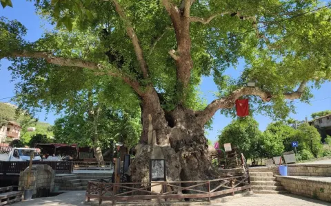 Akdeniz'in İncisi Samandağ — fotoğraf 5